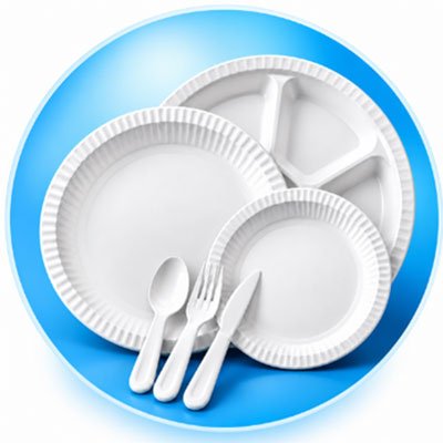 Disposable Plates & Spoons